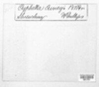 Image Associated With the Occurence
